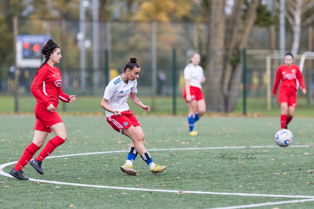 Bild 187 - F Hamburger SV 3 - Walddoerfer SV 2 : Ergebnis: 5:2